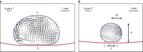 Why small water drops move on hot pans: Leidenfrost wheels explained